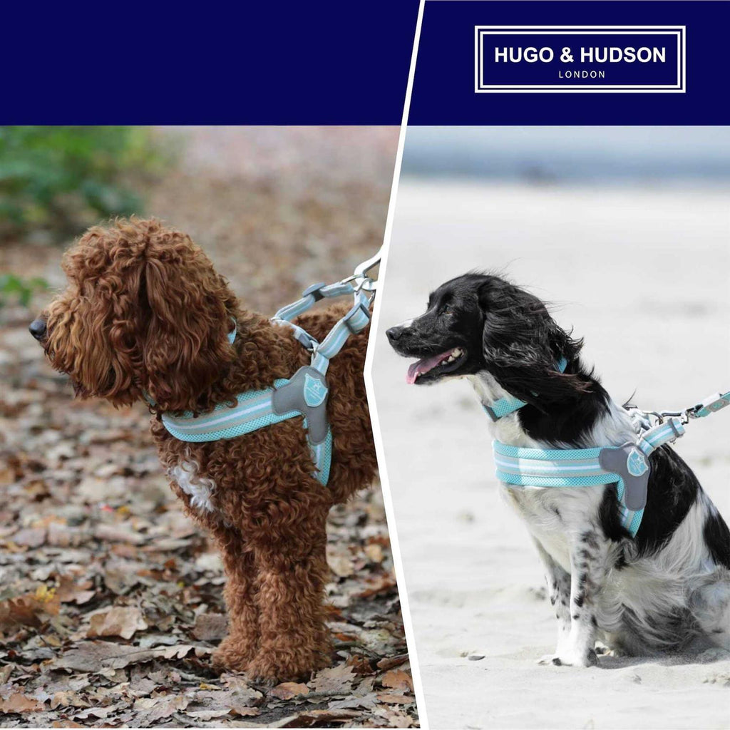 Dog Harness U62904