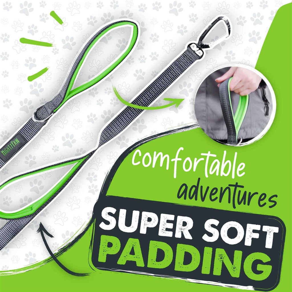Dual Handle Dog Leash H69176