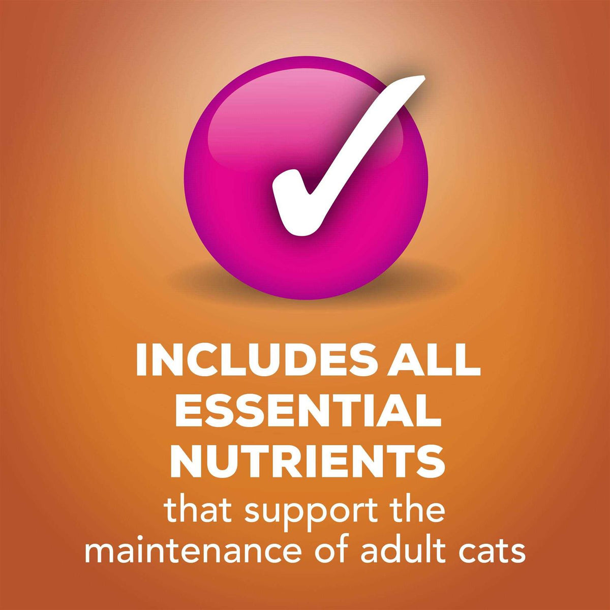 Wet Cat Food Variety Pack U407