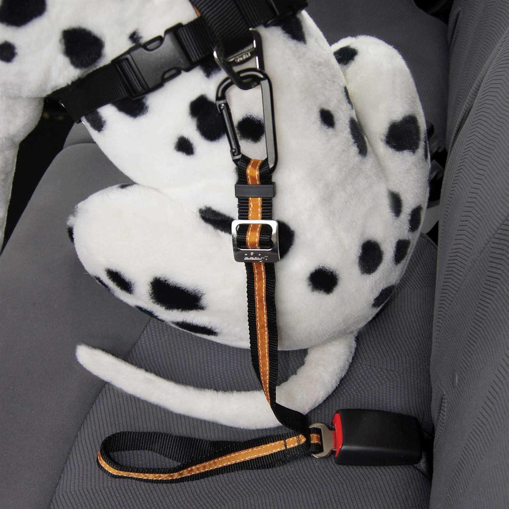 Direct to Seatbelt Tether O739850