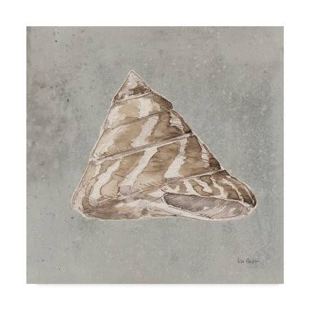 Sand and Seashells IV Art D6652