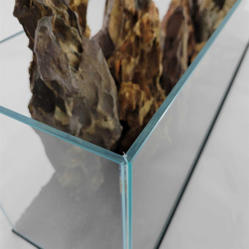 Aquarium P534