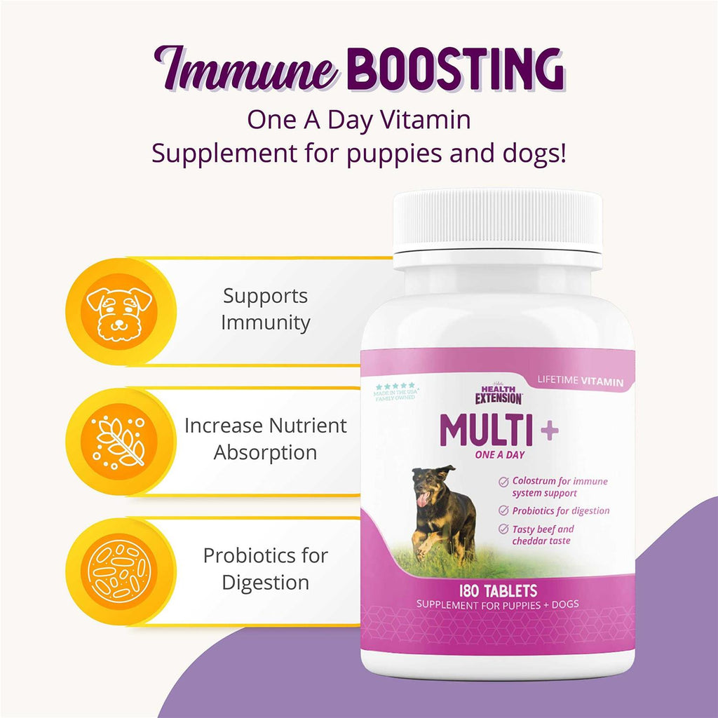 Lifetime Vitamins B126713
