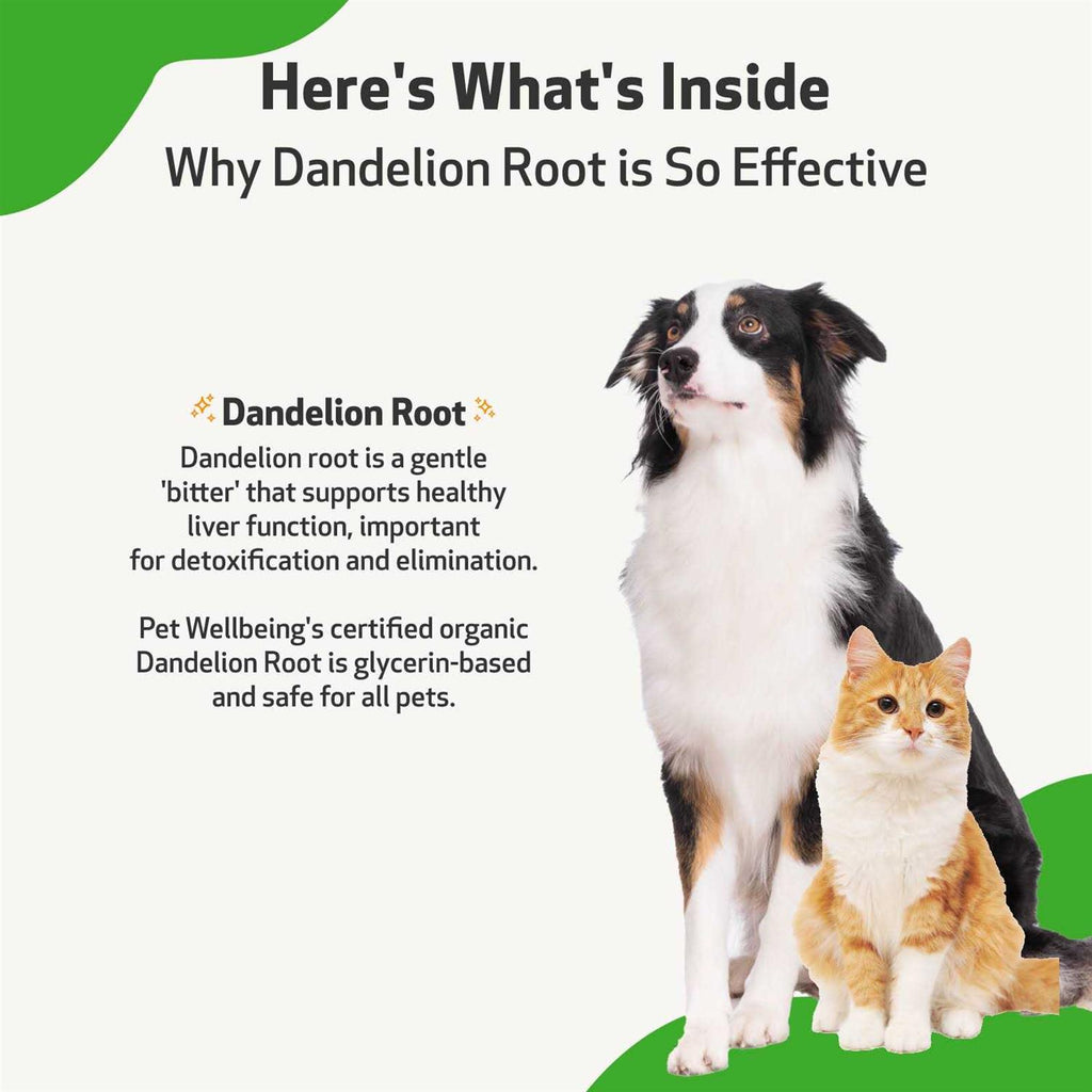 Dandelion Root Cat Liver and Digestive Support N91181