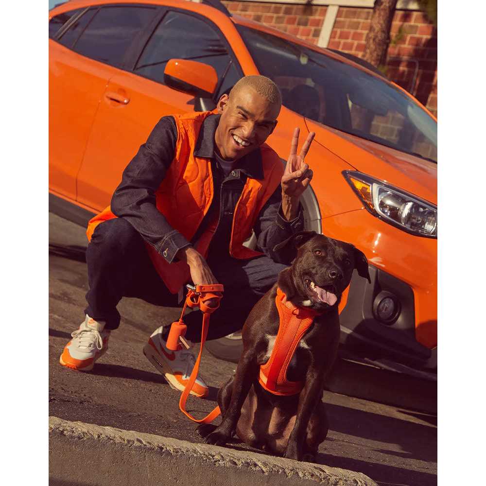 Dog Harness R349708