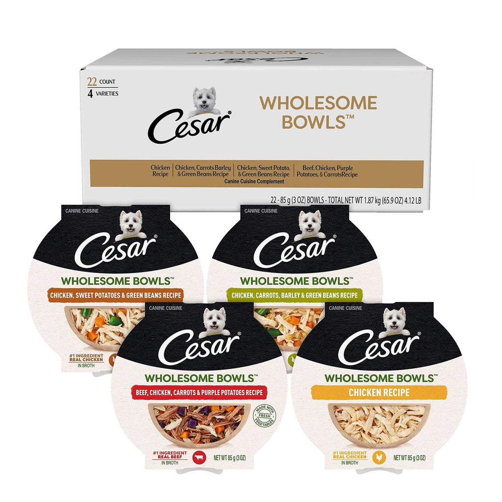 Wet Dog Food K395520