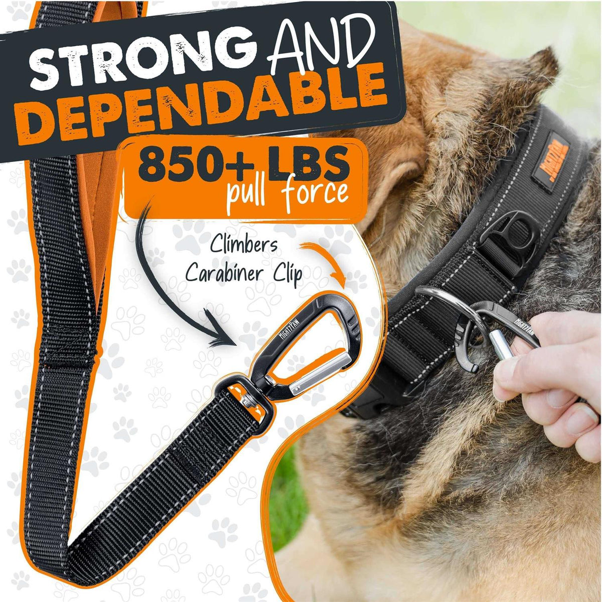Dual Handle Dog Leash H69176
