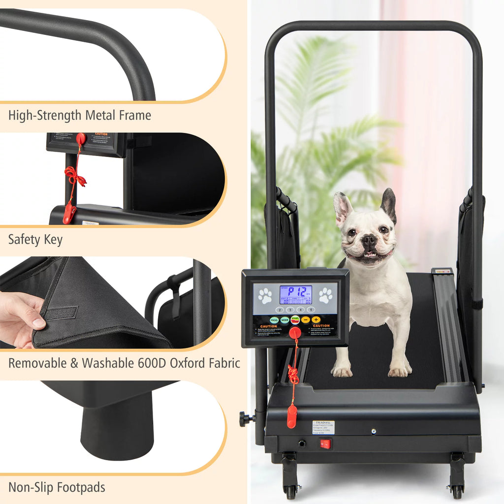 Dog Treadmill T923