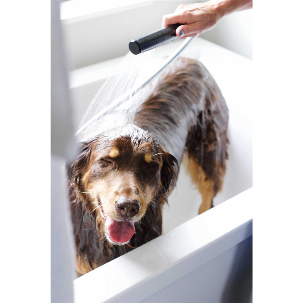 Lavender Chamomile Pet Shampoo F159