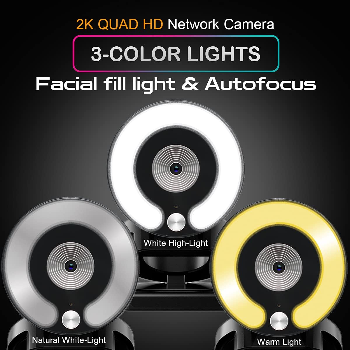 2K 30fps Webcam with Microphone and Ring Light E6951