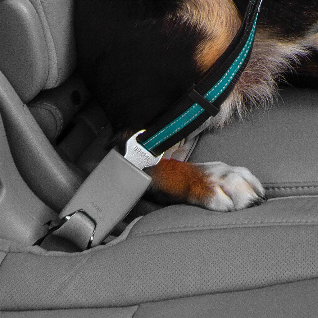 Direct to Seatbelt Tether O739850