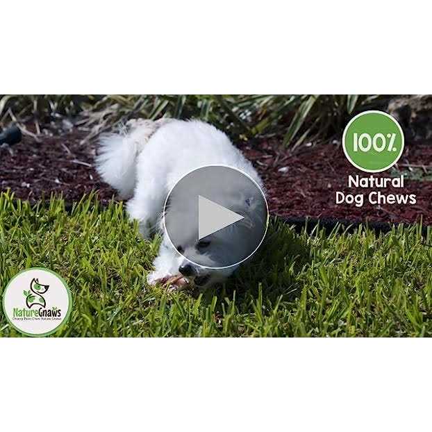Natural Dog Chews Variety Pack Q452533