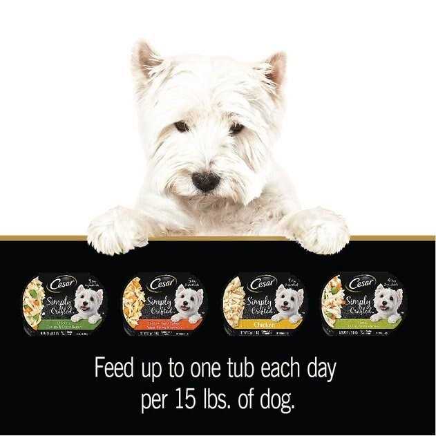 Wet Dog Food K395520