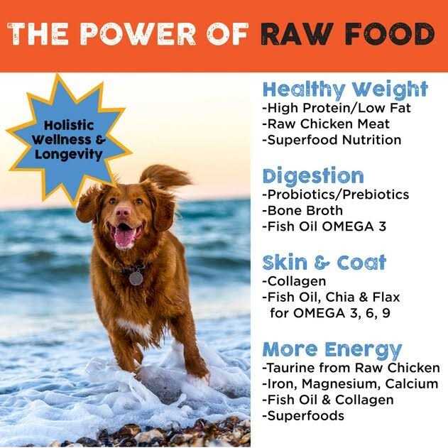 Freeze Dried Dog Food R373010