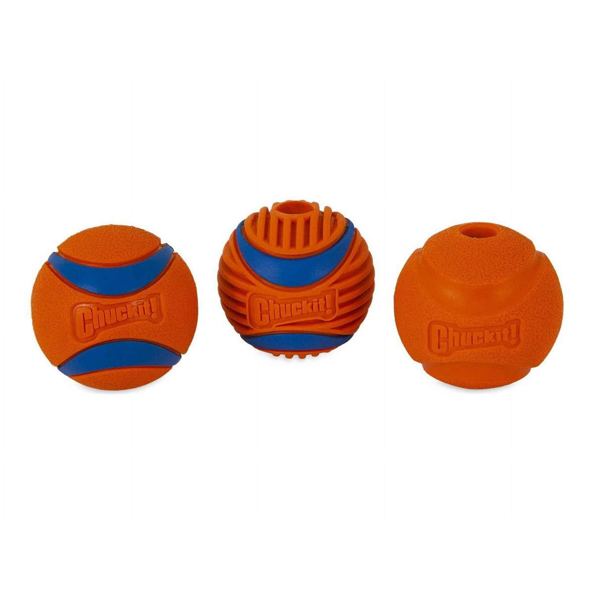 Fetch Medley T308524