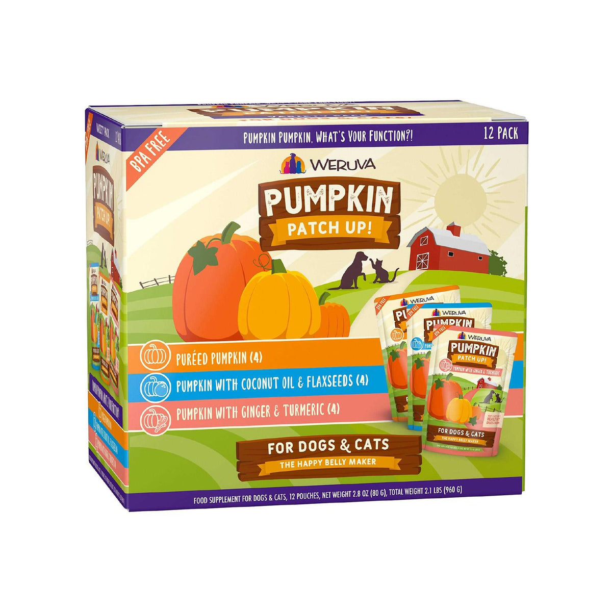 Pumpkin Patch Up B2269
