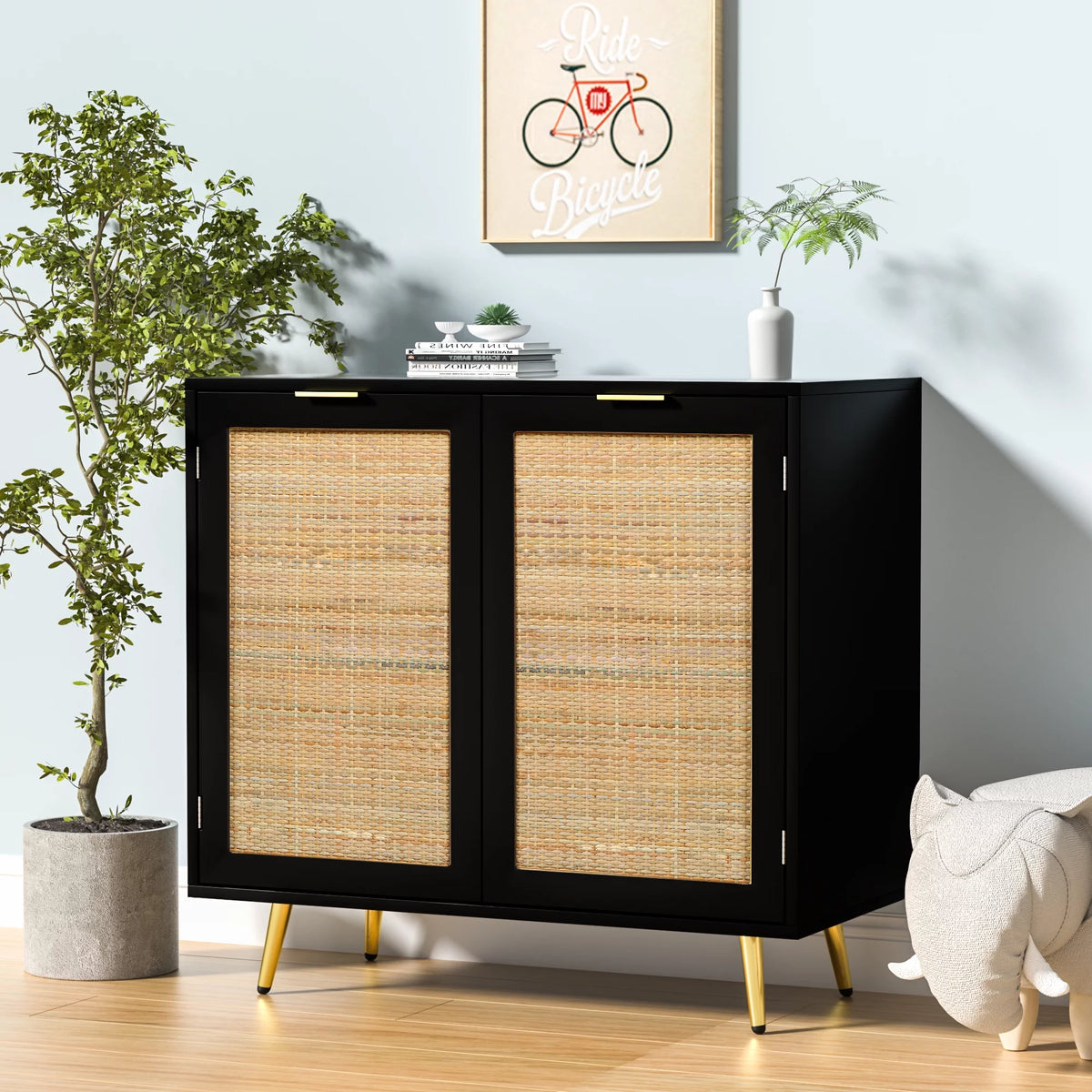 Black 2 Rattan Door Accent Cabinet D652