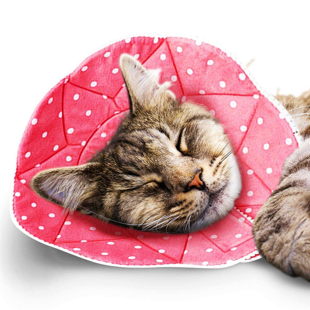 Soft Collar for Small Dogs & Cats O3390