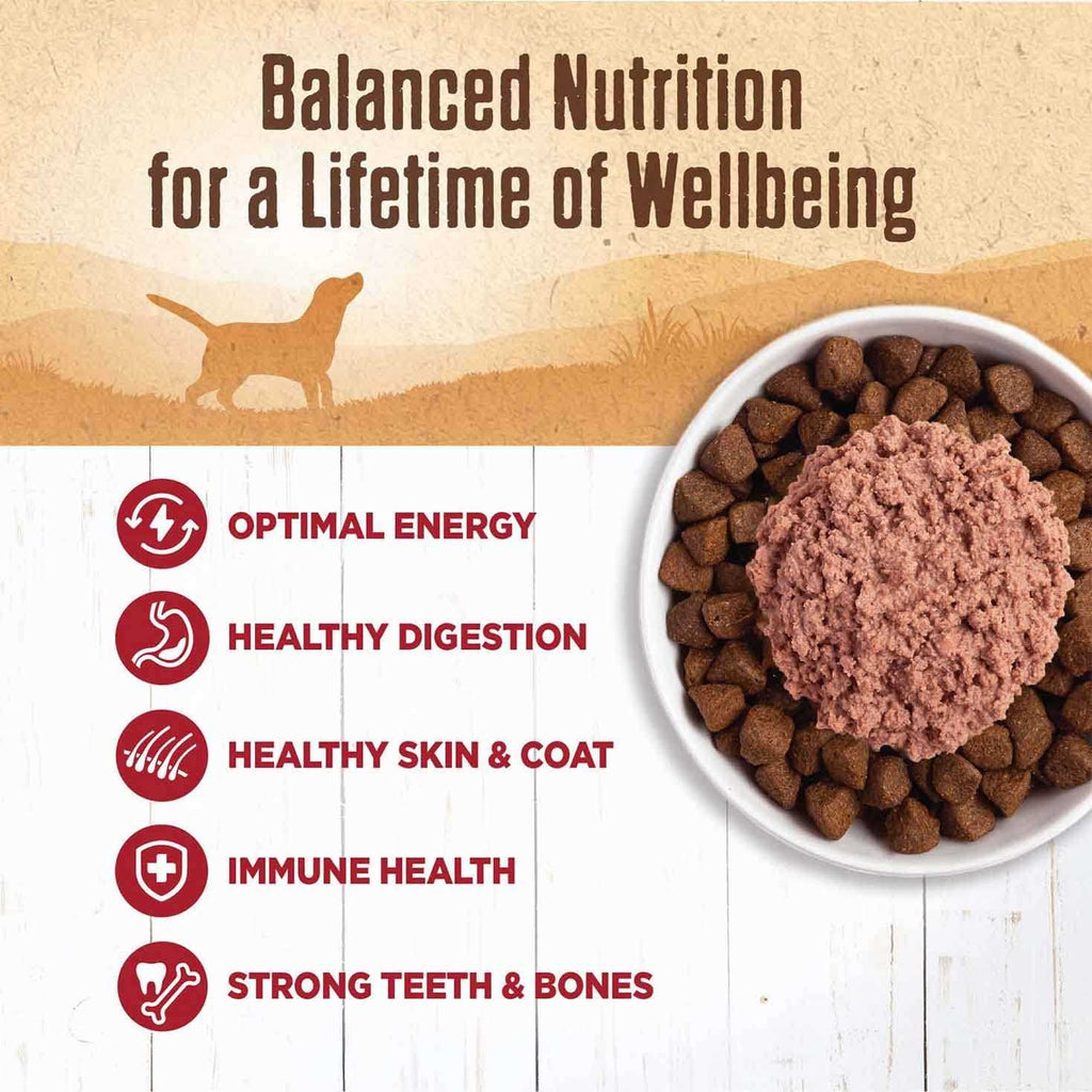 Dog Food Beef W52772