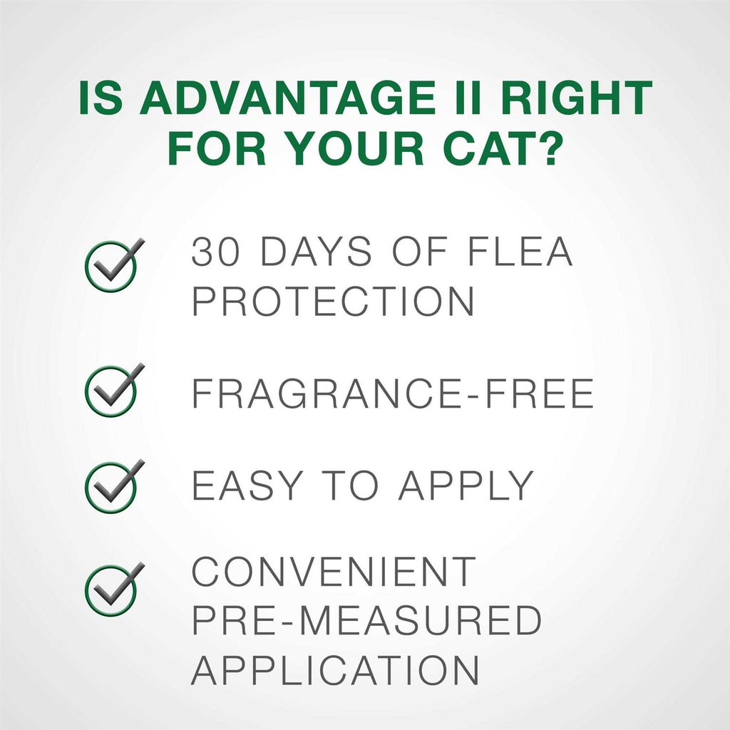 Flea Treatment for Kittens N716