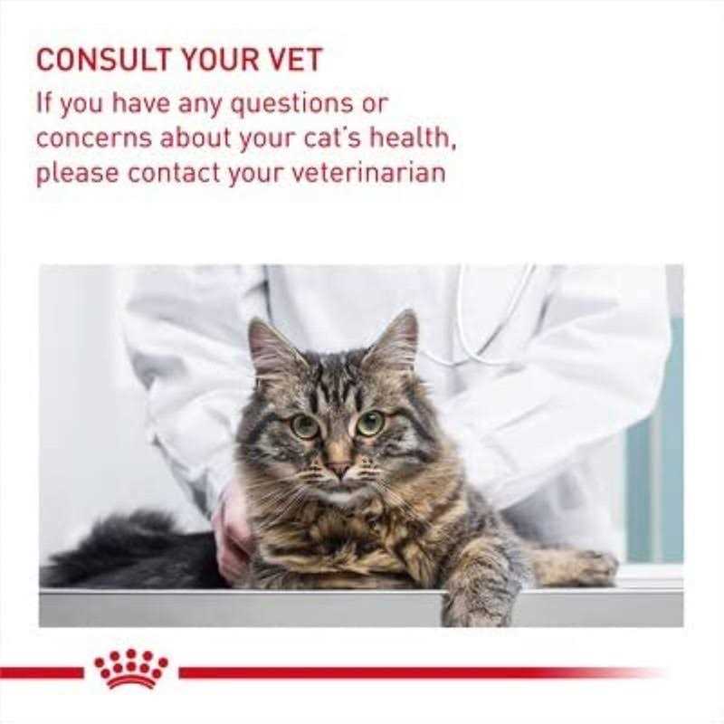 Wet Cat Food O36934