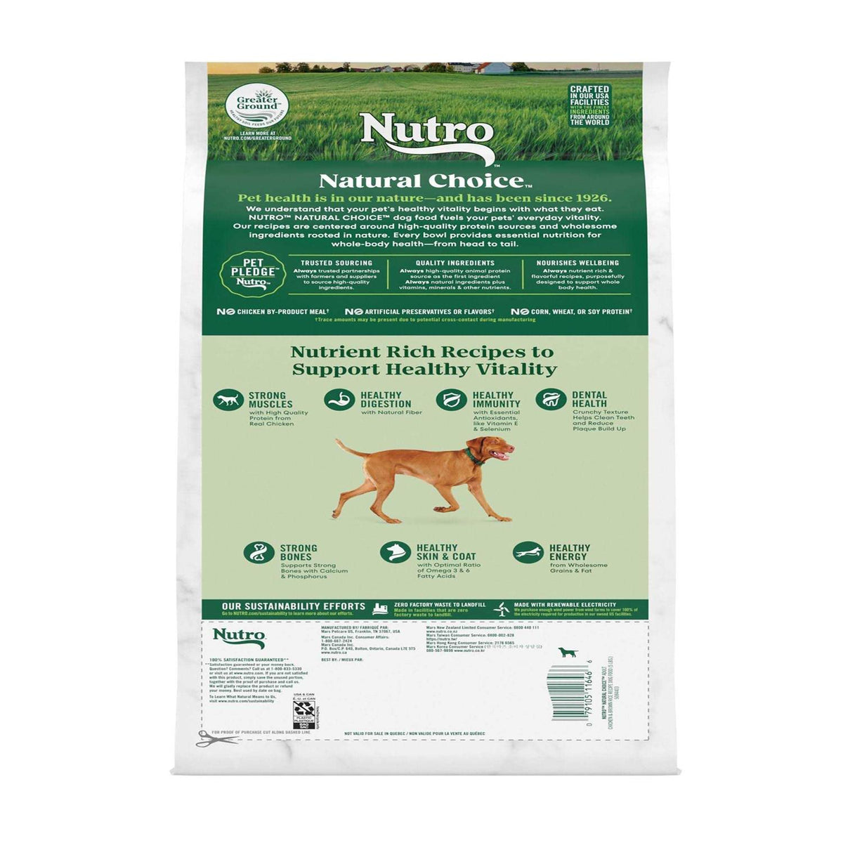Chicken & Brown Rice Dry Dog Food H24669