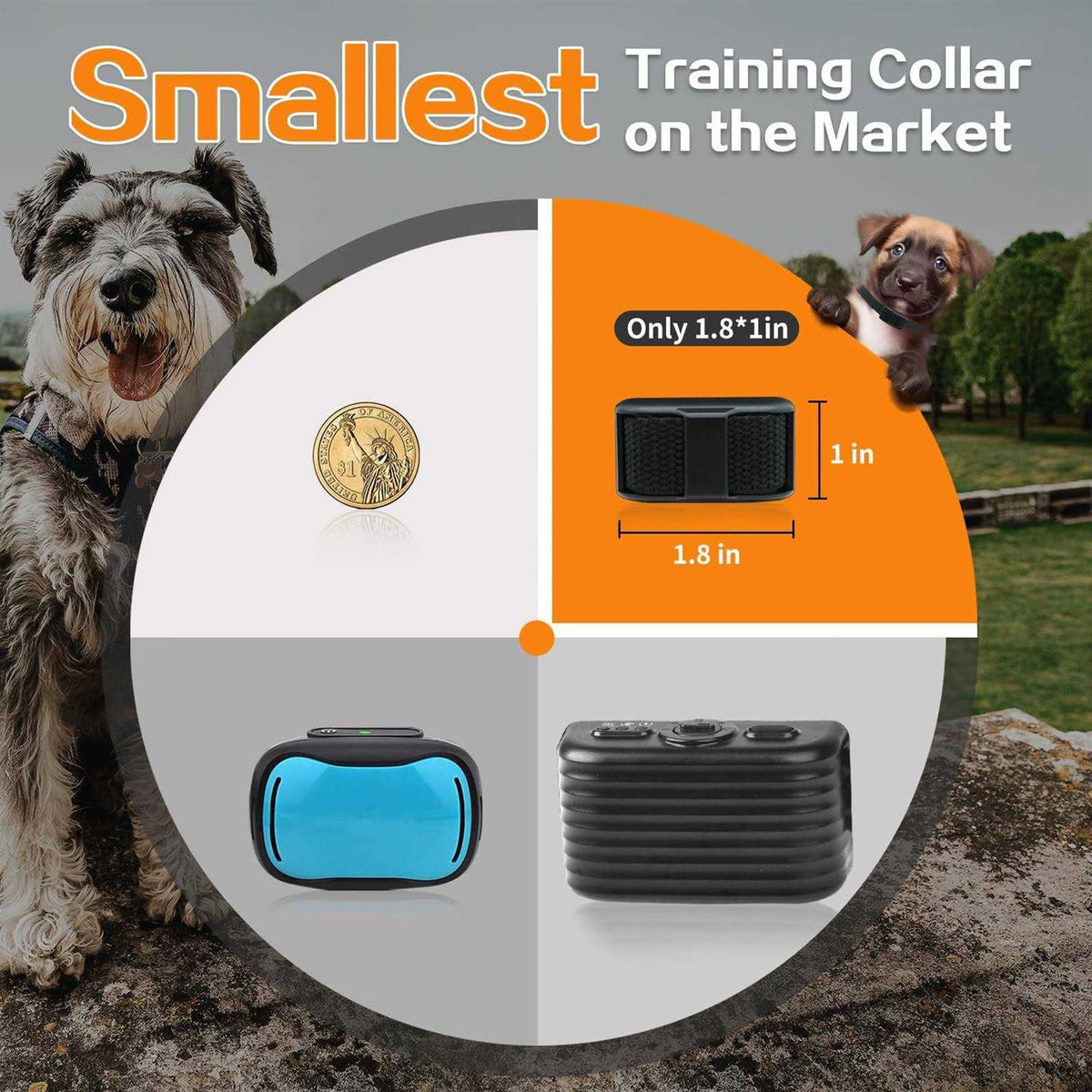 Dog Training Collar with Remote M87888