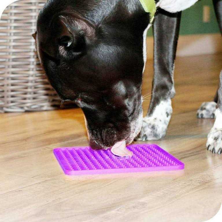 Puppy Starter Kit Dog Toys Dog Bed Blankets Grooming Tool E7676