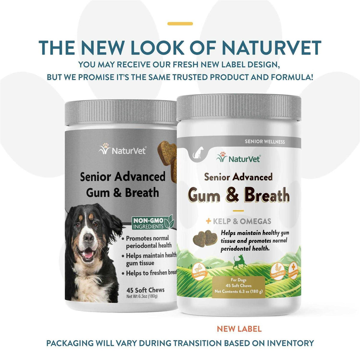 Senior Advanced Gum & Breath Soft Dog Chews S270773