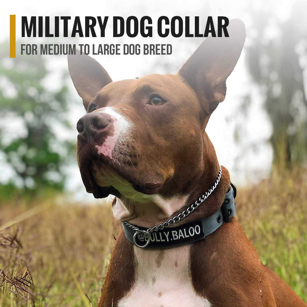 Adjustable Dog Collar with Metal D Ring Buckle T373757