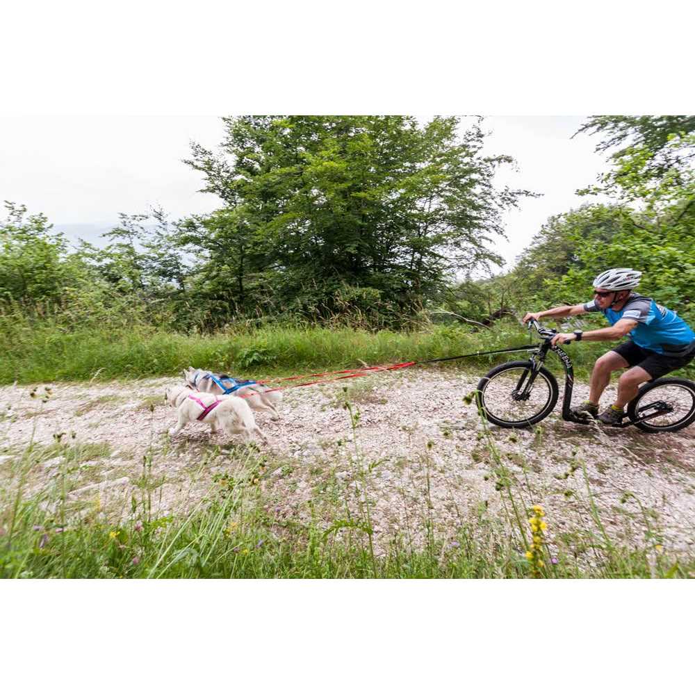Dog Pulling Harness P49169