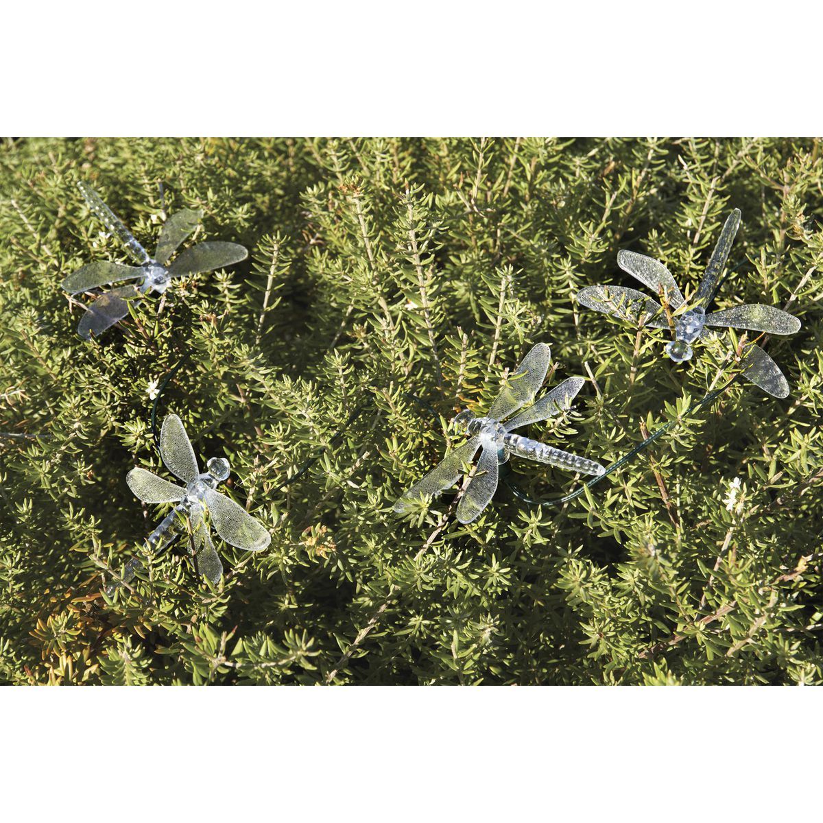 Solar Dragonfly LED String Lights 10-Piece M30595