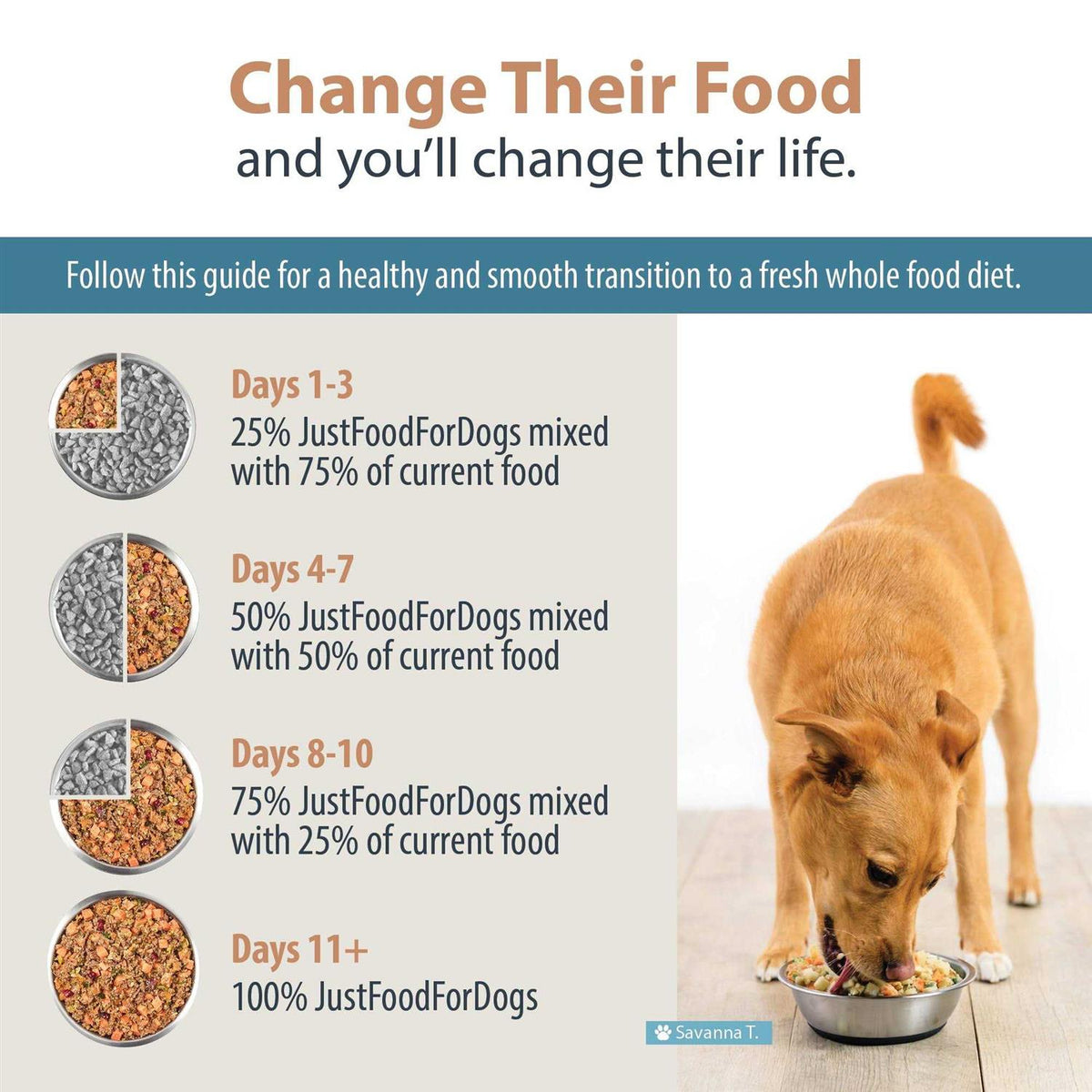 Frozen Fresh Dog Food F89788
