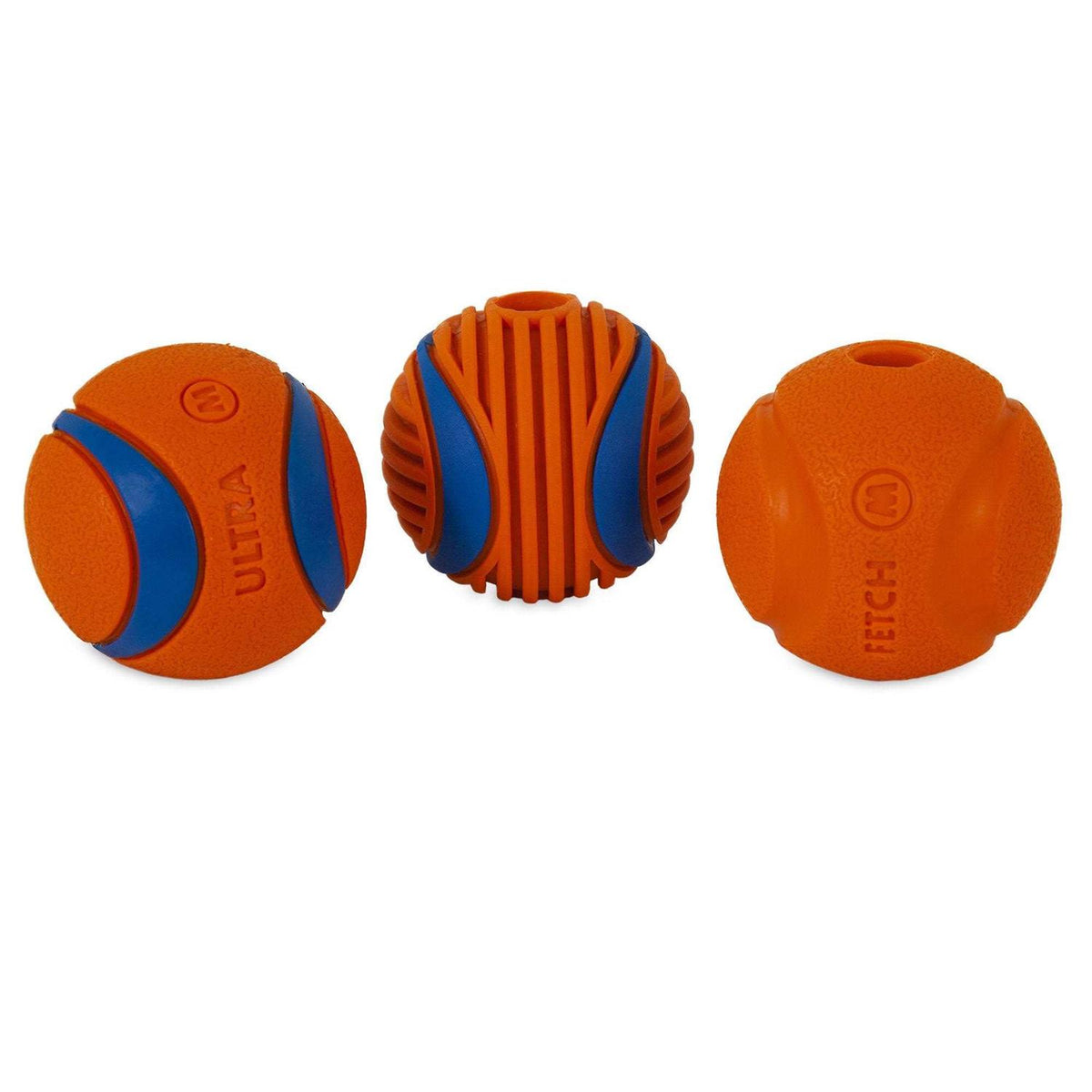 Fetch Medley T308524