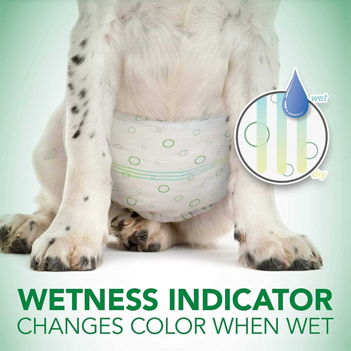 Disposable Male Dog Wraps C969