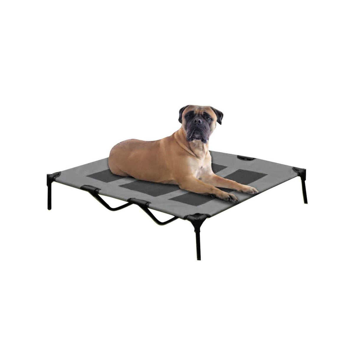 Cot Dog Bed I37827