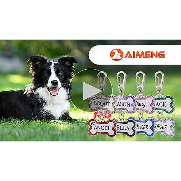 Stainless Steel Pet ID Tags V994