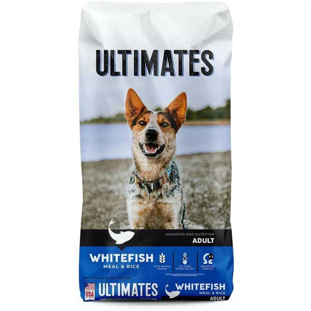 Chicken Meal & Rice Dry Dog Food X890880