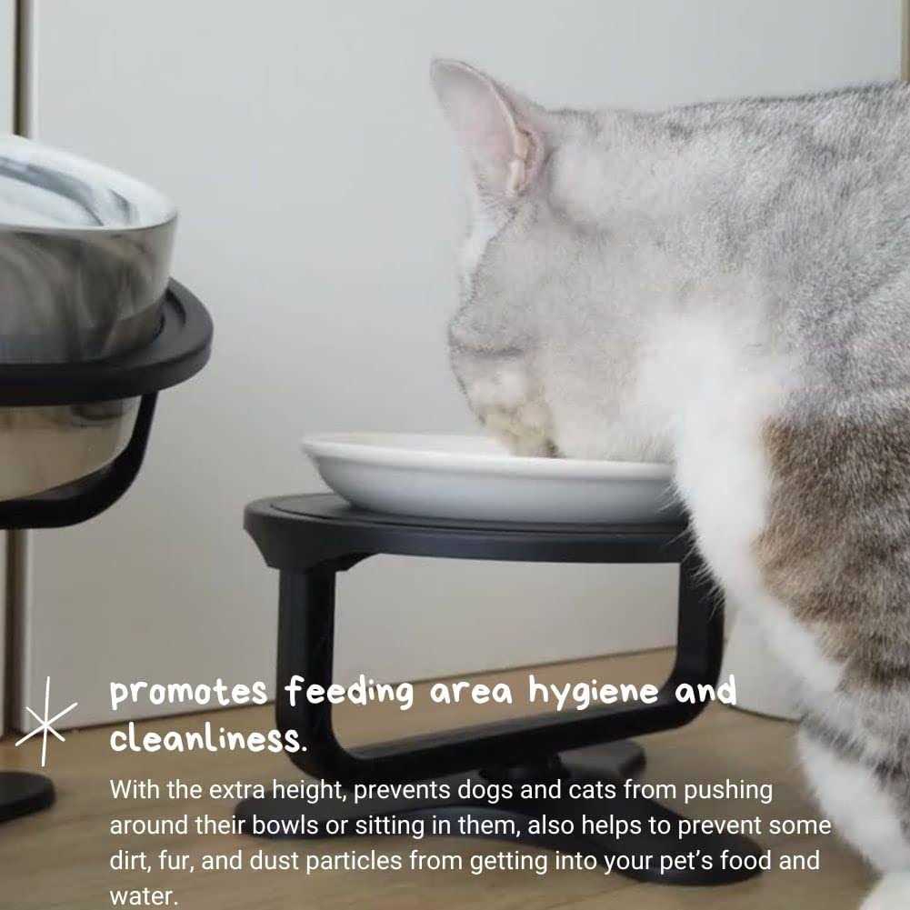 Adjustable Raised Cat Food Bowl G7132