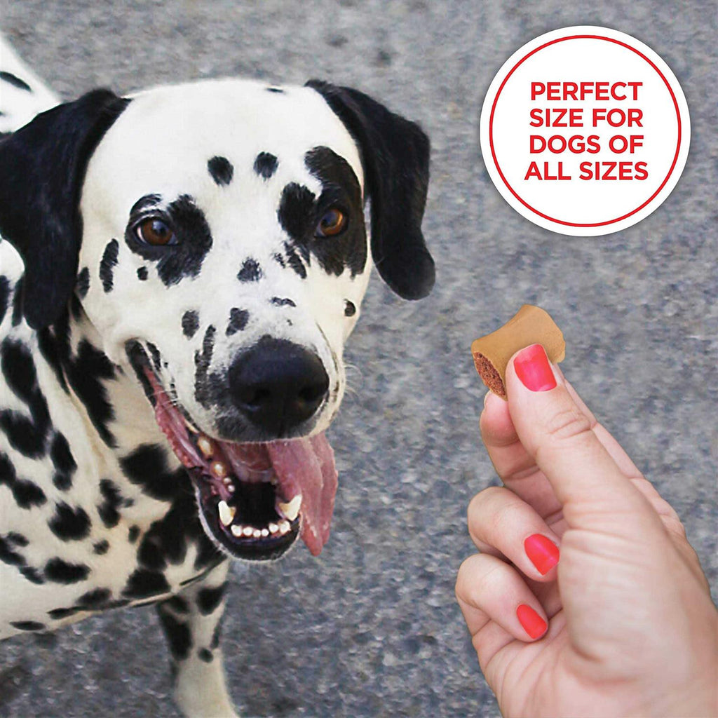 Dog Treats C367749