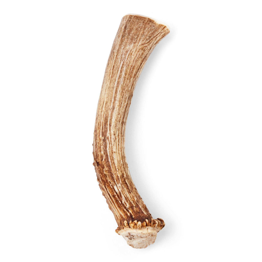 Whole Deer Antler Dog Chew X9112