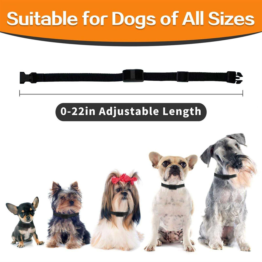 Dog Training Collar with Remote M87888