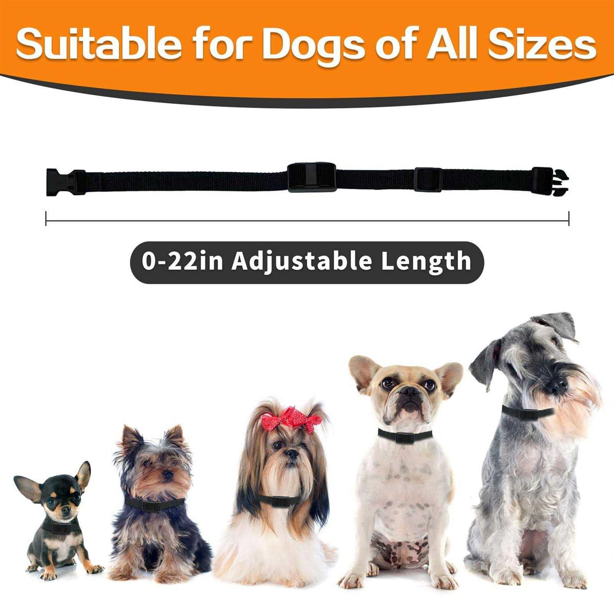 Dog Training Collar with Remote M87888