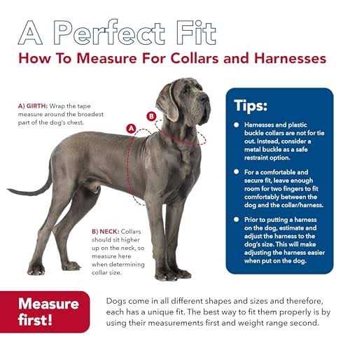 Adjustable Dog Collar W9928