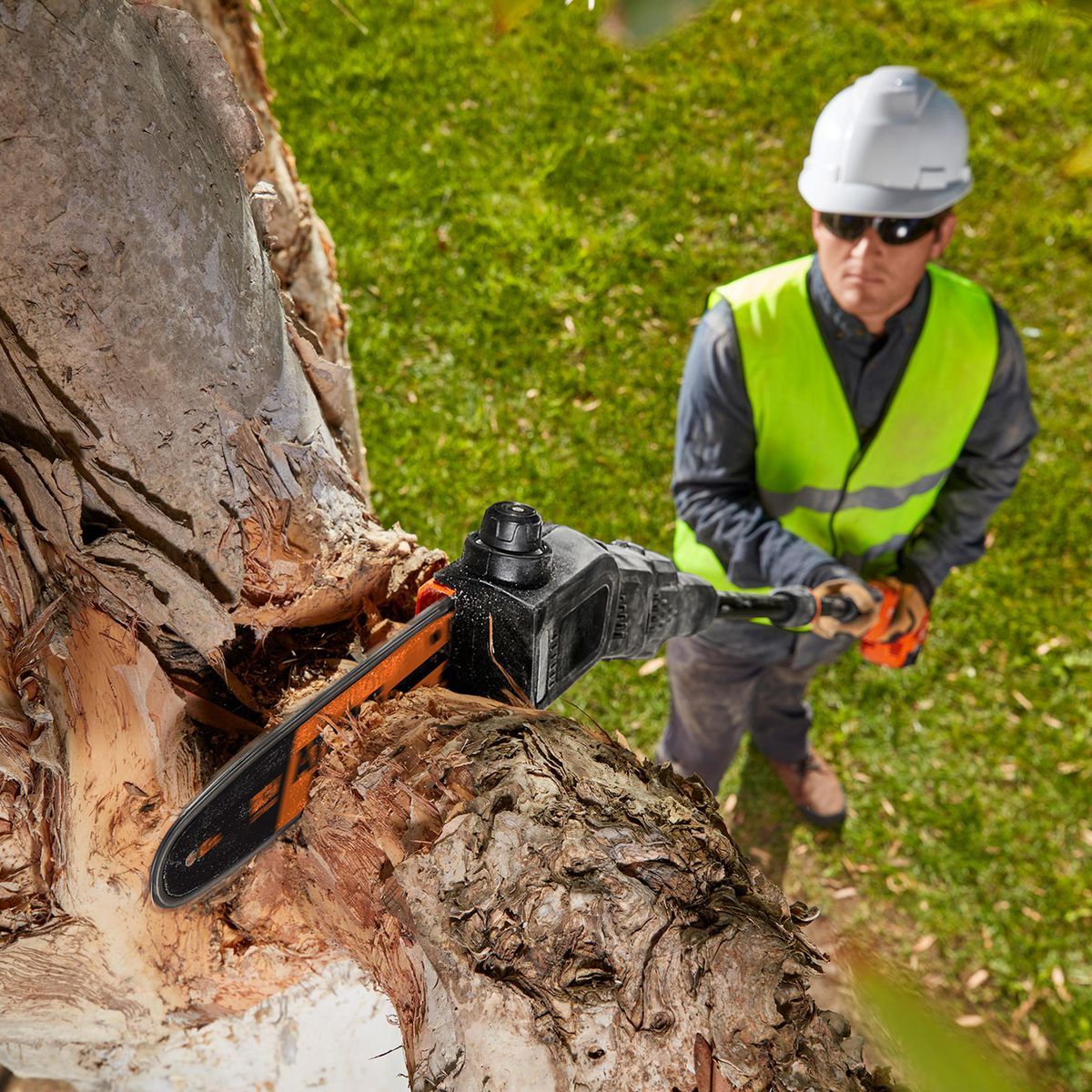 80V Brushless Cordless 10 in. Pole Saw J40559