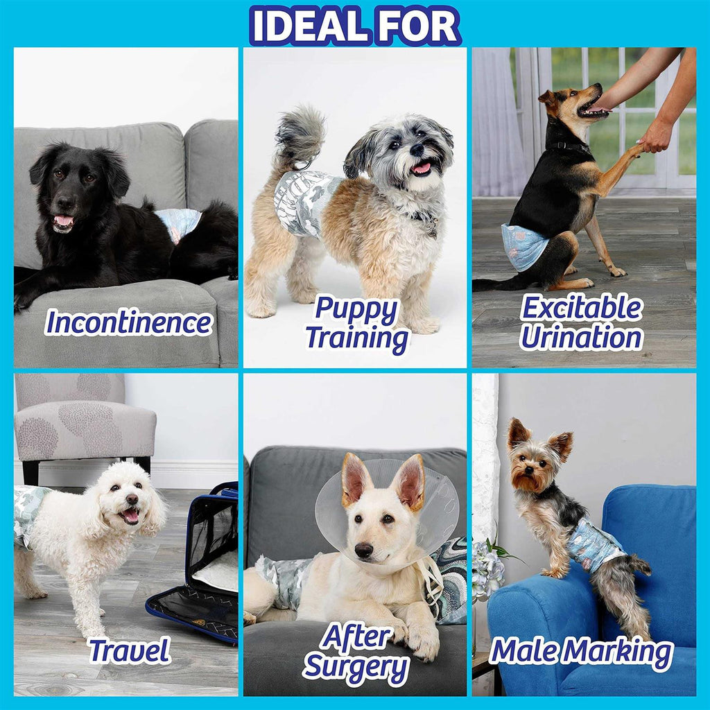Disposable Male Dog Wraps O75745