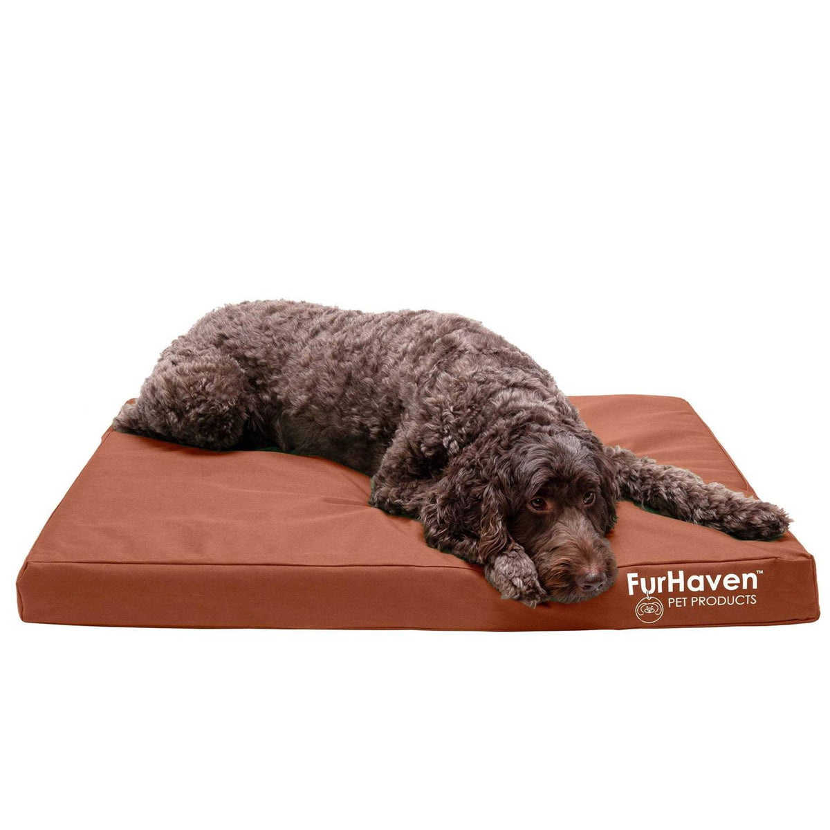 Dog Bed I79393