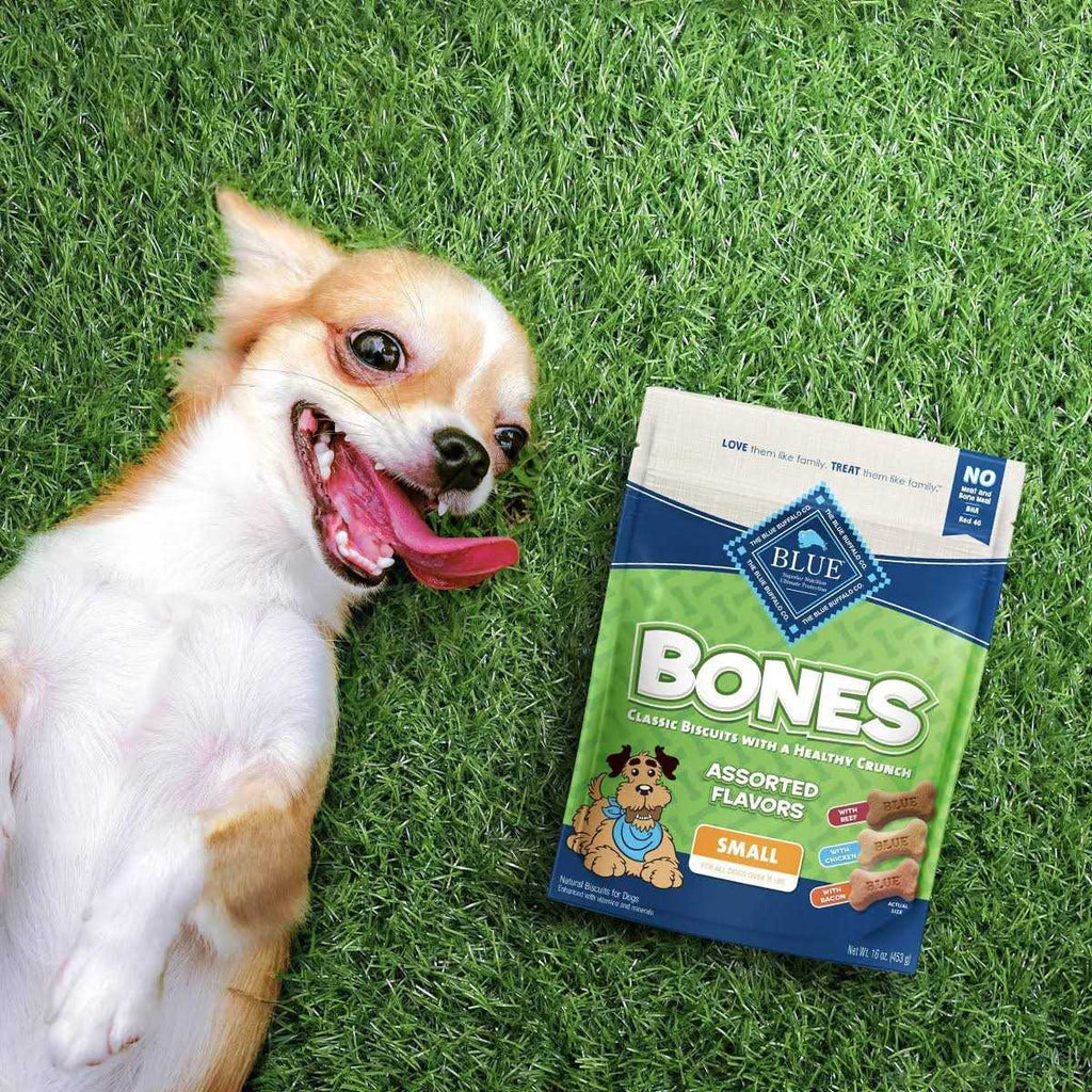 Bones Biscuits G801