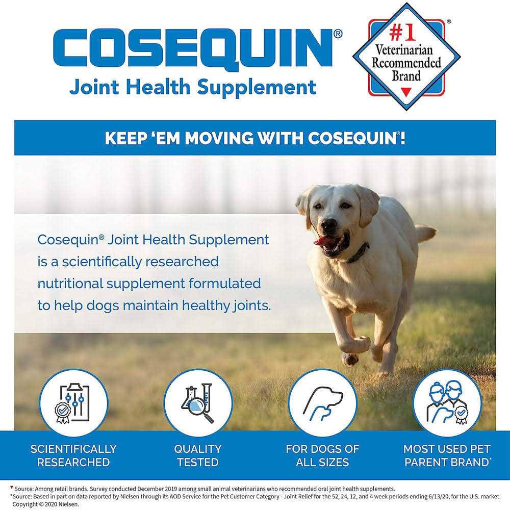 Joint Health Supplement for Senior Dogs J990