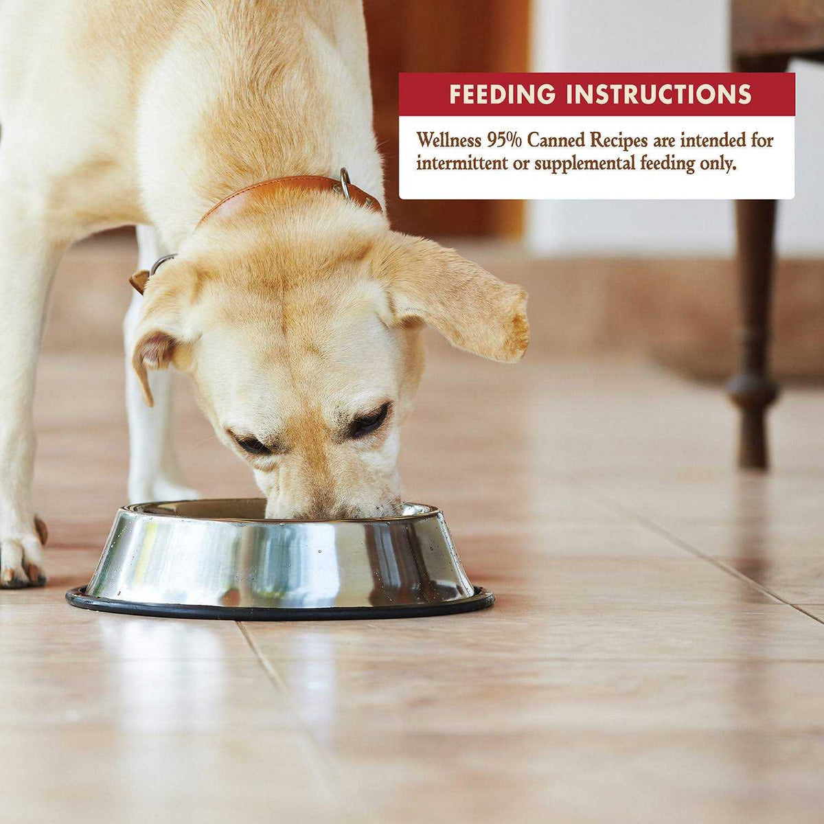 Dog Food Beef W52772
